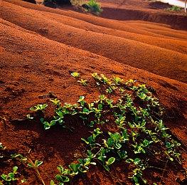 Fami通新一周销量榜 《真女神转生5》登顶